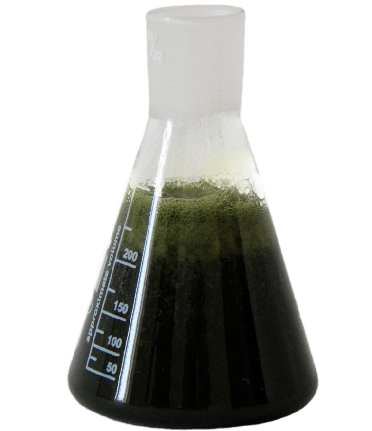 Cтабилизатор «ANT»